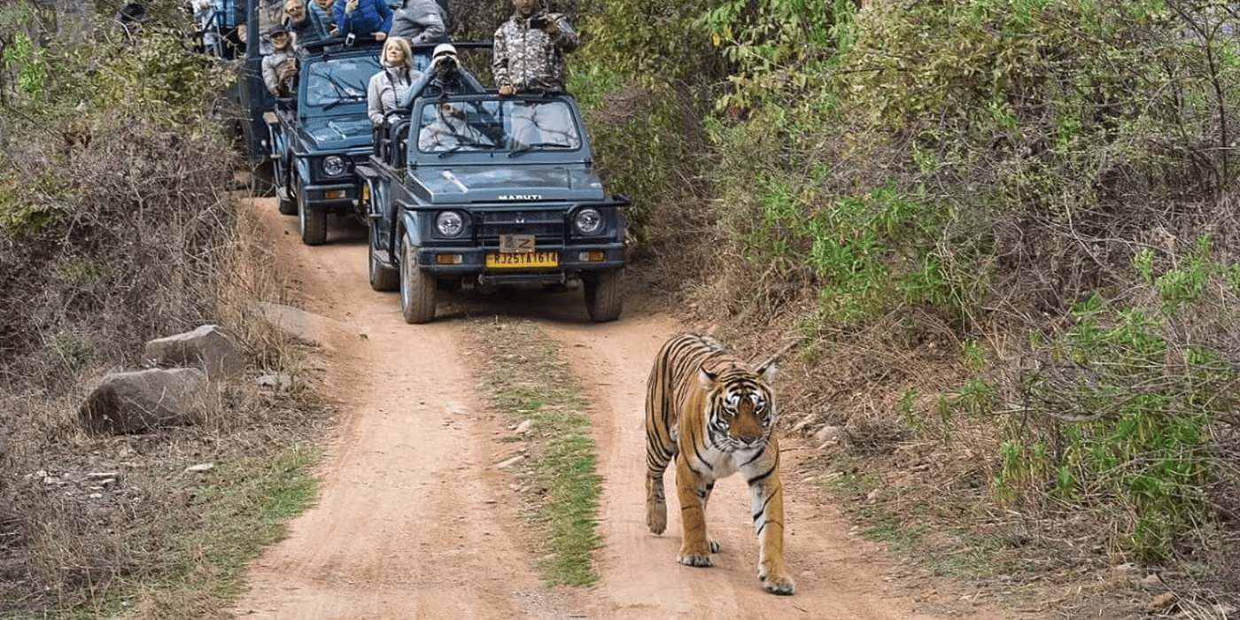Delhi Agra Ranthambore Jaipur Tour Package